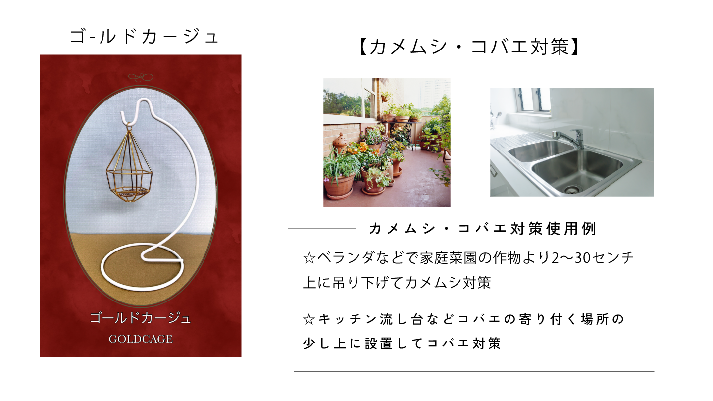 ゴールドカージュ